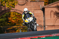 anglesey;brands-hatch;cadwell-park;croft;donington-park;enduro-digital-images;event-digital-images;eventdigitalimages;mallory;no-limits;oulton-park;peter-wileman-photography;racing-digital-images;silverstone;snetterton;trackday-digital-images;trackday-photos;vmcc-banbury-run;welsh-2-day-enduro